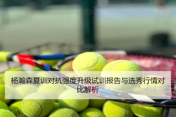 杨瀚森夏训对抗强度升级试训报告与选秀行情对比解析